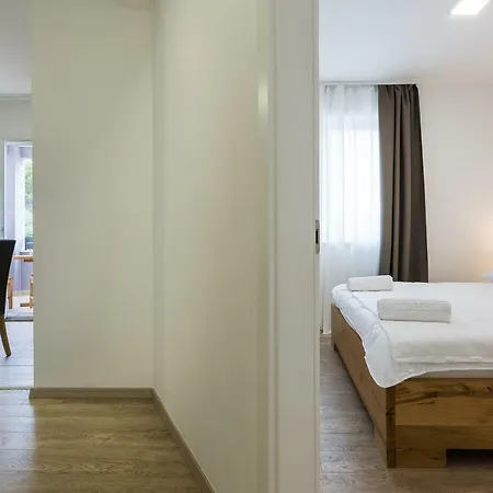Petar's Dream 2